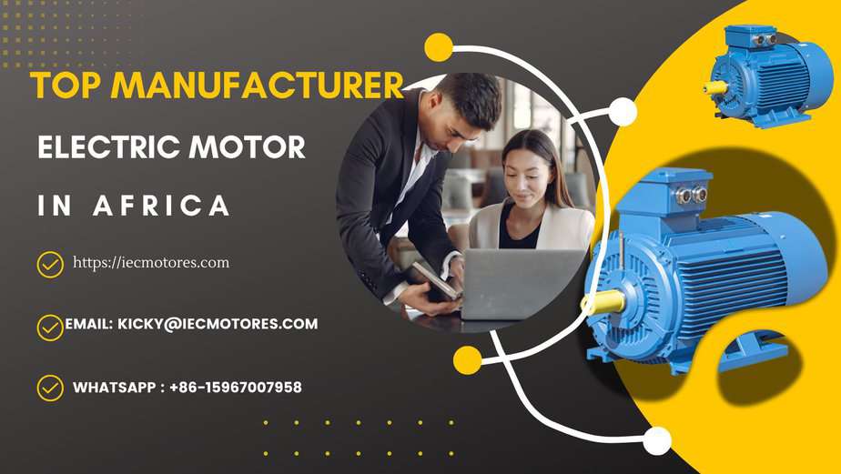 Top Electric Motor Manufacturers in Africa