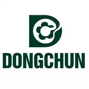 DONGCHUN MOTOR 