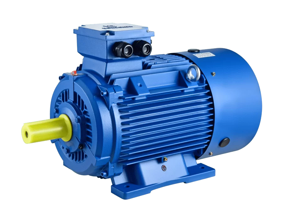 Dongchun motor - electric motor